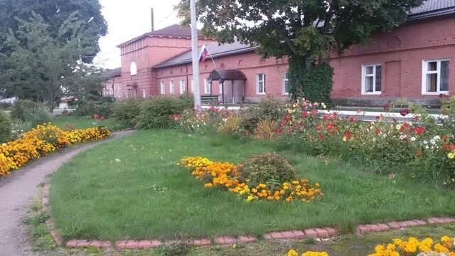 Добрый дом интернат. Солнечногорский пни шахматово. егорьевский психоневрологический интернат. бобровский психоневрологический интернат алтайский край.