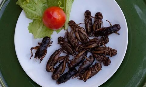 Вкусные жуки