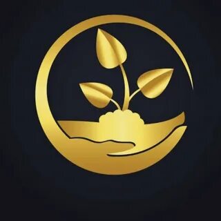 Gold plant