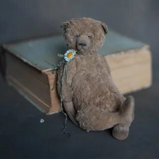 Roma bear
