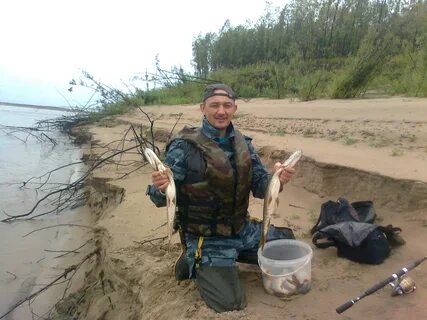 Рыбалка на печоре