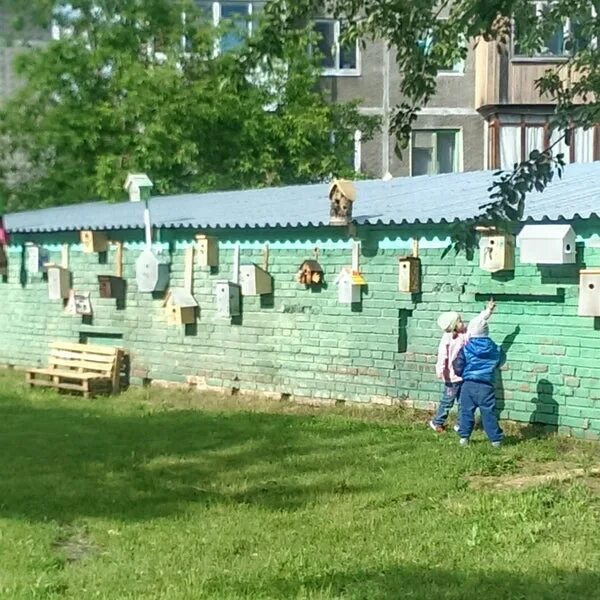 Сад 3 ковров. Сад 3 ковров. Детские сады жирновского. Дет сад 3 клинцы. Частная школа три кита пермь.