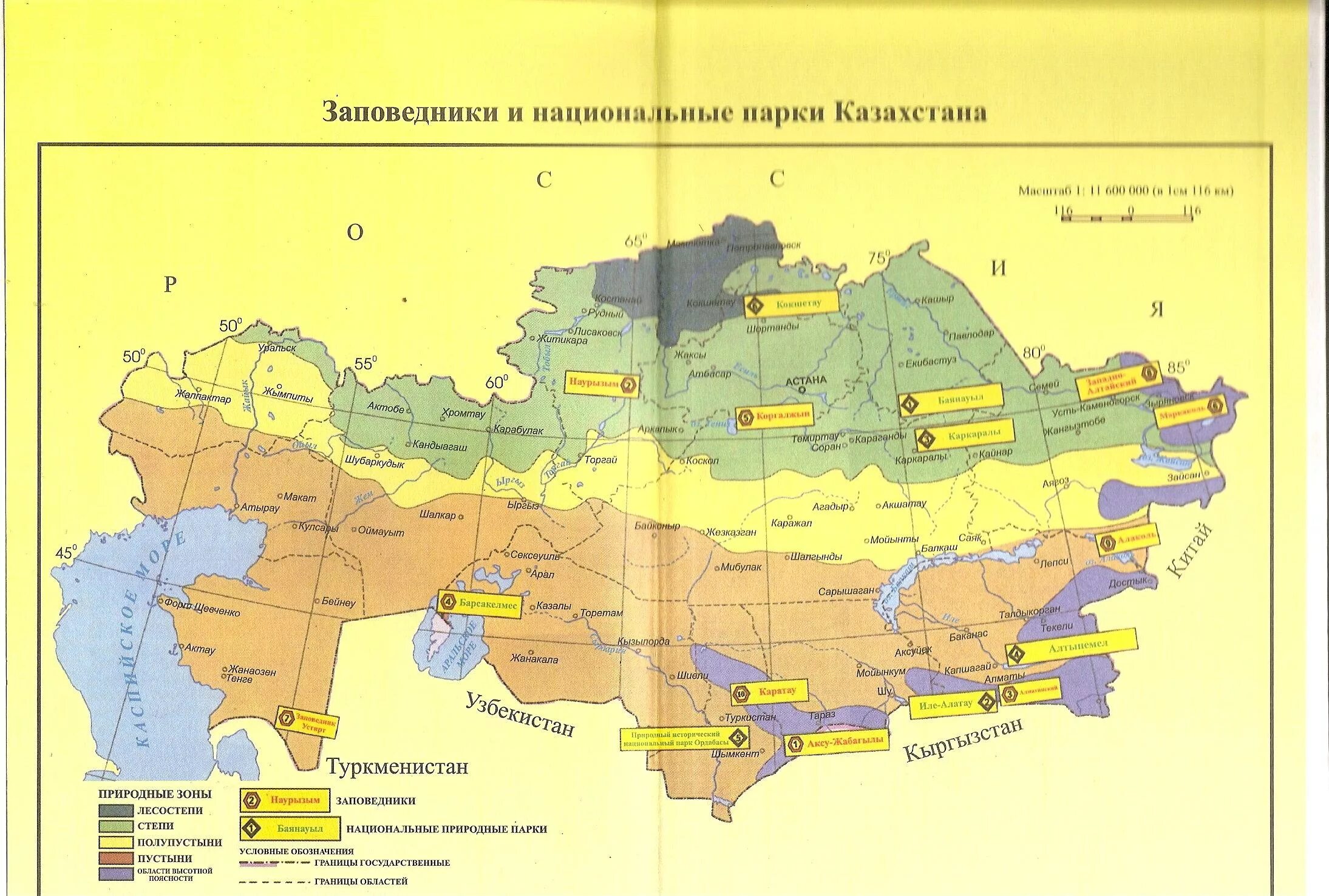 Карта природных зон Казахстана. Климатическая карта Казахстана. Природно климатические зоны Казахстана. Карта растительности Казахстана.