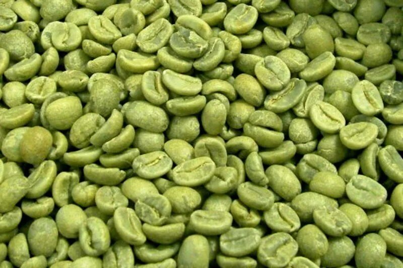 День зеленого кофе. Green Coffee Beans Arabica. Зеленый кофе в зернах. Кофе зеленый зерновой. Зеленое зерно Арабика.