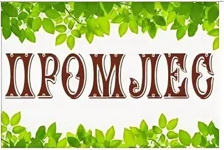 Промлес