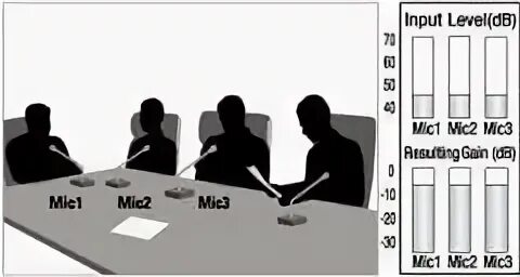 Input levels