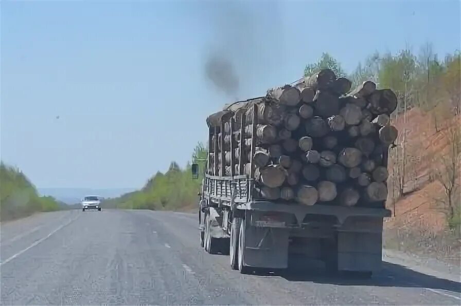 Расценки на говядину. Тонна январь. Объем производства комбикормов для рыб в 2023. Погрузка угля в самосвал. Динамика роста производства комбикорма за последние 3 года.