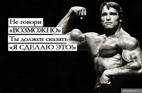 Правила шварценеггера