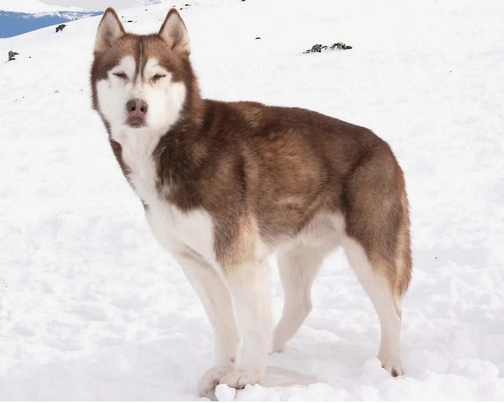8 below