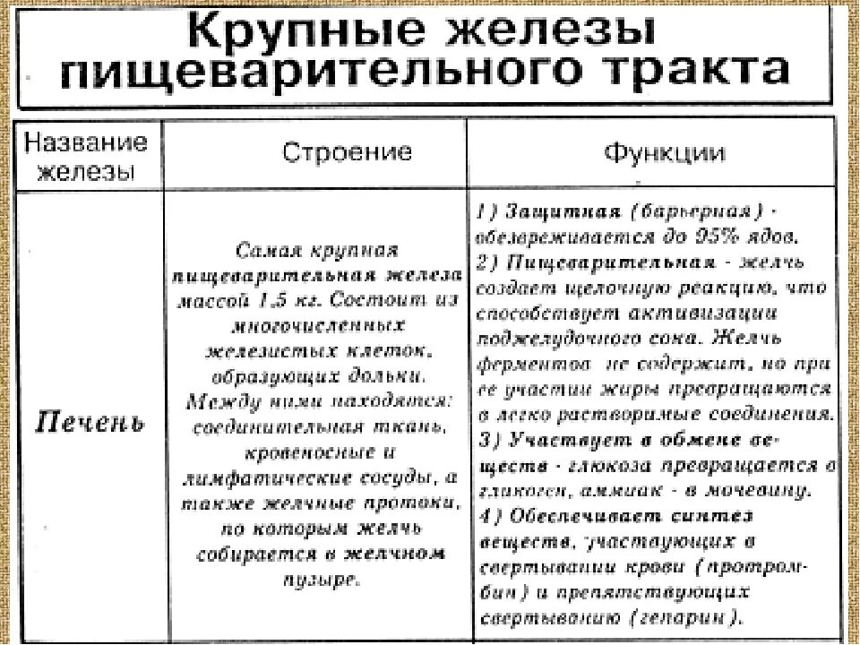 Таблица по пищеварению 8 класс биология. Пищеварительные железы человека таблица строение и функции. Пищеварительные железы и их функции таблица. Пищеварительная система человека строение и функции таблица 8 класс. Строение и функции органов пищеварительной системы таблица.