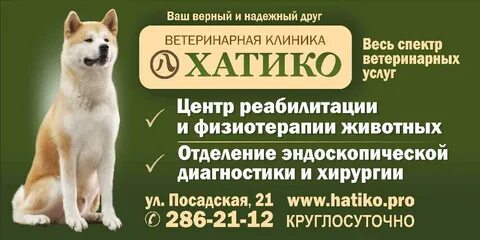 Отзывы клиники хатико
