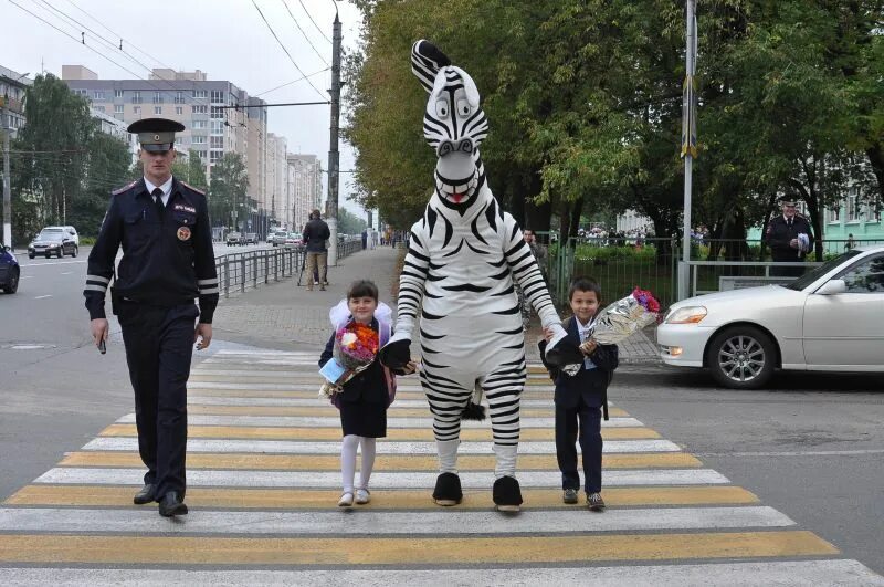 Человек превращается в зебру разоблачение. Зебра пешеход. зебра на дороге. человек-зебра. что такое зебра на дороге для детей.
