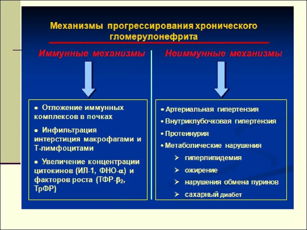 Механизмы прогрессирования хронического гломерулонефрита. Основной механизм развития гломерулонефрита. Факторы хронизации гломерулонефрита. Механизм воспаления при гломерулонефрите.