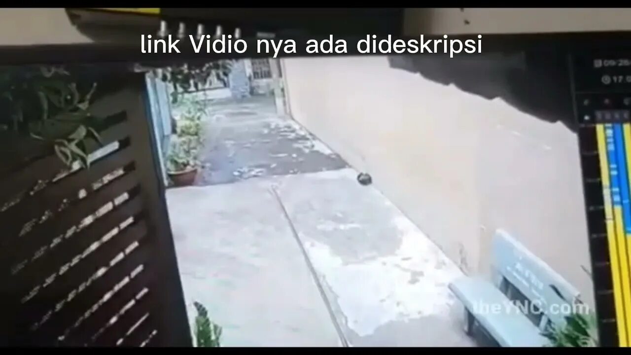 Files catbox moe mp4. Catbox.