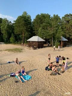 Лесной тюмень