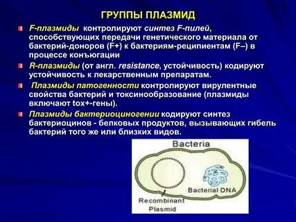 Виды плазмид бактерий