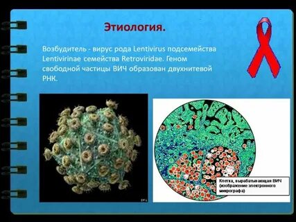 Вирус иммунодефицита семейство