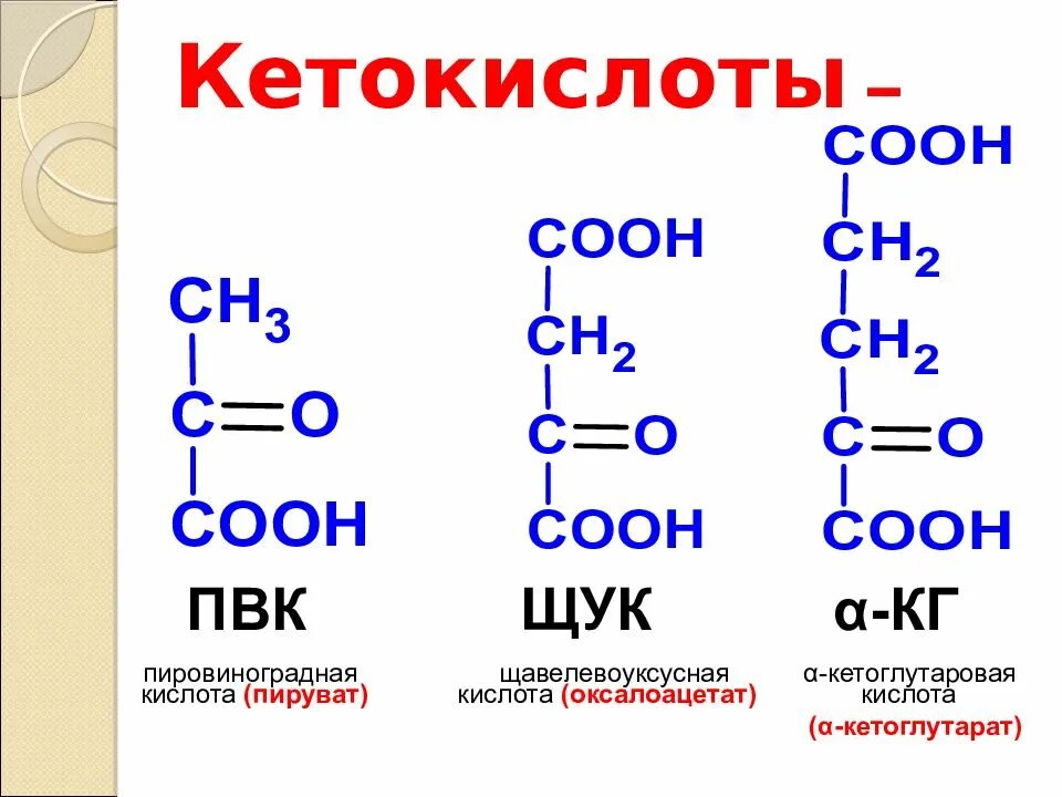 Пировиноградная, ацетоуксусная, щавелевоуксусная, α-кетоглутаровая.. Формула щавелевоуксусной кислоты. Альфа кетокислоты формулы. Щавелевоуксусная кислота из ПВК. Альфа кислота формула