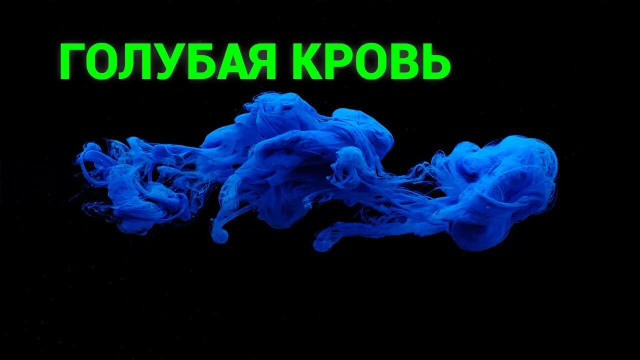 Откуда выражение голубых кровей