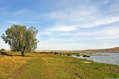 Погода мордово самарская область