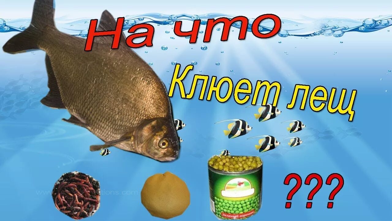 НА ЧТО КЛЮЕТ ЛЕЩ YouTube