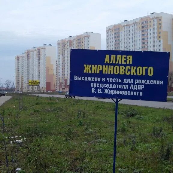 Аллея имени жириновского рязань. Аллея жириновского курск фото. Аллея жириновского воронеж где. Аллея памяти нижний новгород. Аллея жириновского воронеж где.
