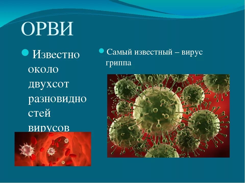 Группа вирусов гриппа. Болезни вызываемые вирусами ОРВИ. Вирус ОРЗ. Грипп вирусное заболевание. Вирусы острых респираторных заболеваний.