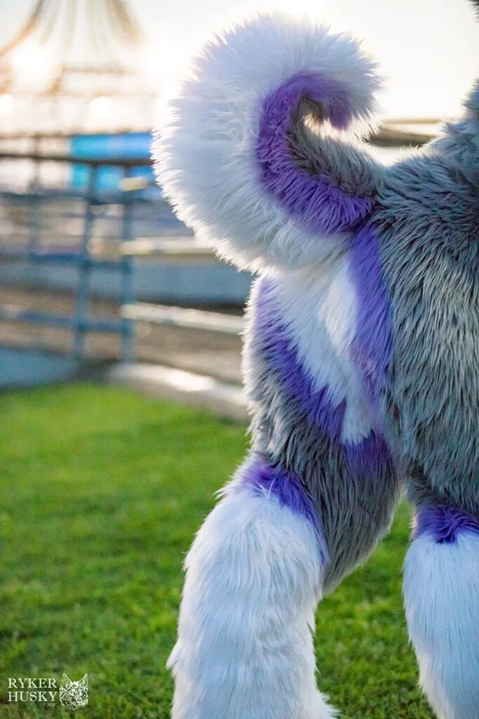 Small tail