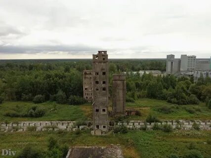 Комбикорм рыбинск