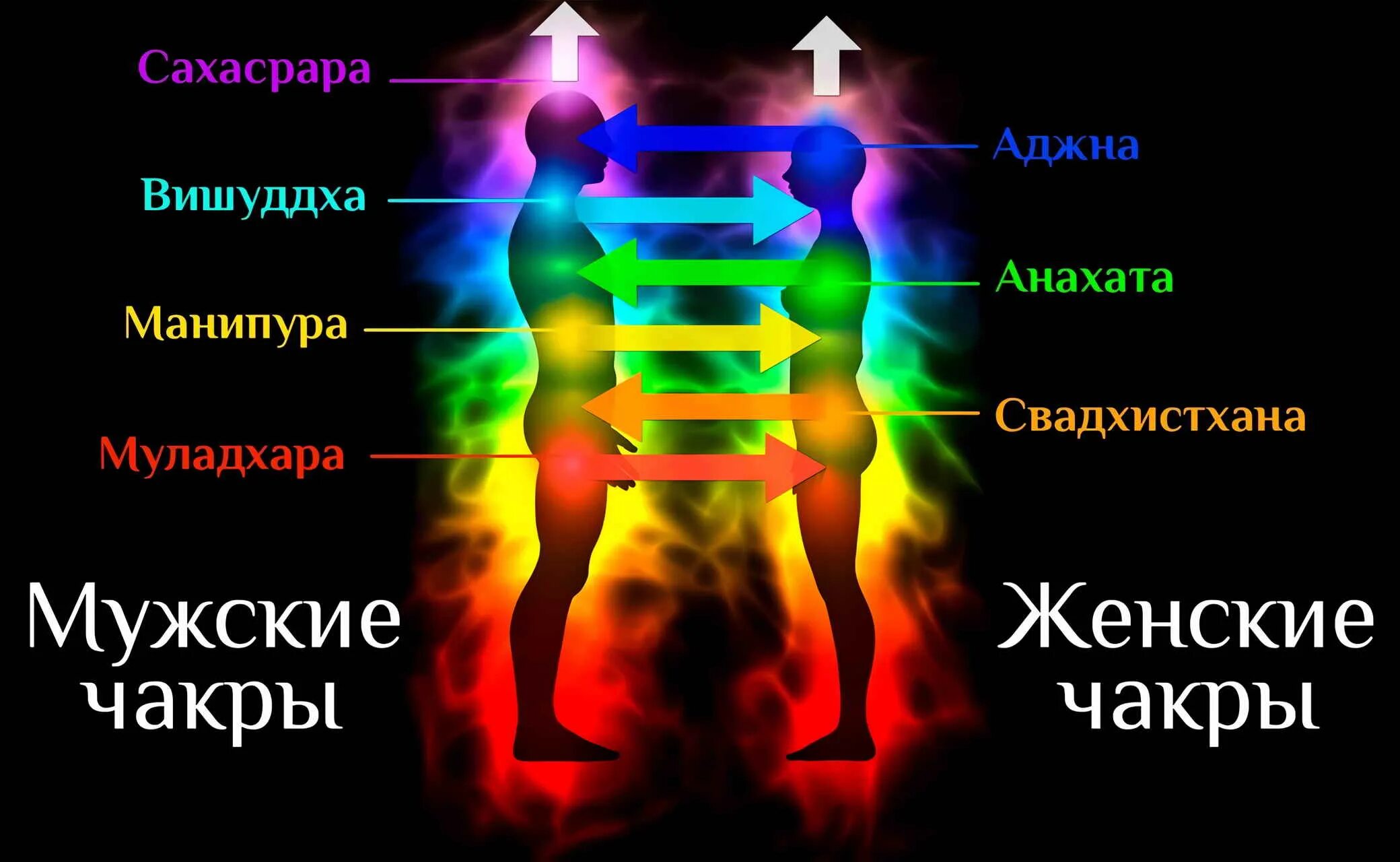 Давать энергию мужчине. Энергообмен мужчины и женщины по чакрам. Мужские чакры. Мужские и женские чакры. Энергообмен мужчина и женщина чакры.