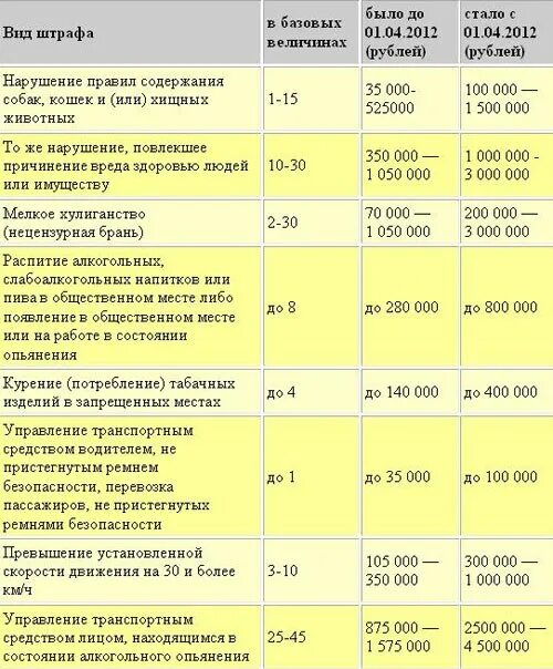 Сколько базовая величина 2024. Штраф в размере 10 базовых величин. Штраф 1 Базовая это сколько. Штраф базовые величины это сколько. Что такое Базовая величина штрафа.