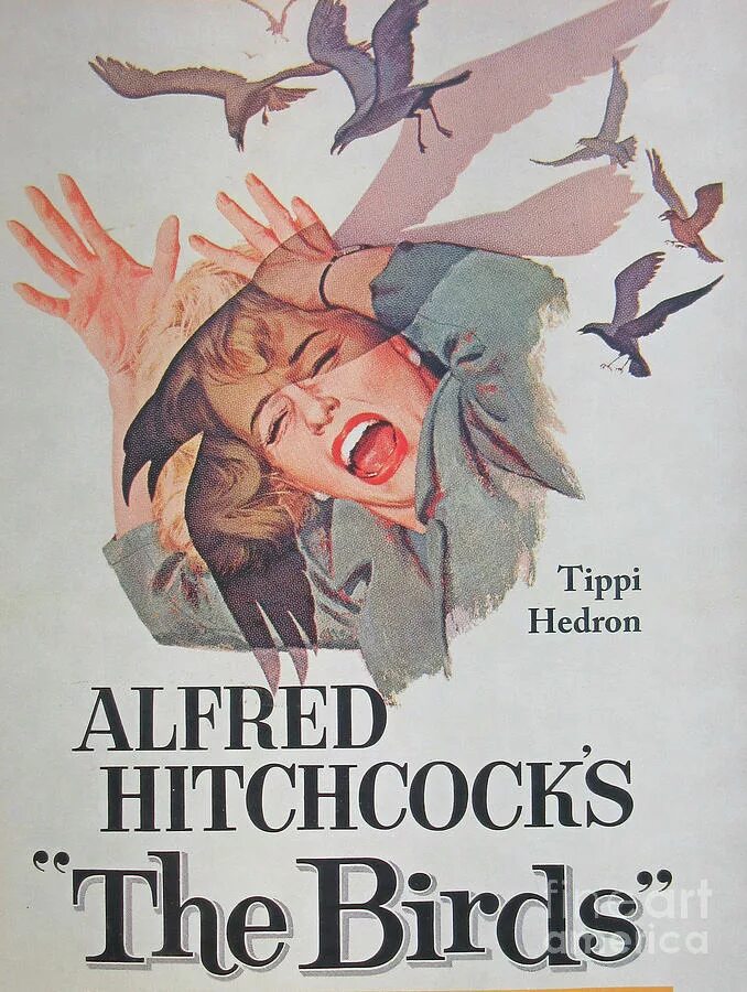 The birds part 1. Птицы хичкок постер. the birds 1963.