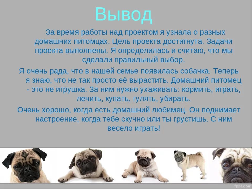 Примеры про собак. Проект домашние питомцы собака. проект мои домашние питомцы собака. проект мой дамашниепитомцы сабака. презентация на тему мой домашний питомец собака.