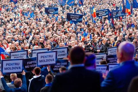 Политическая партия регионов