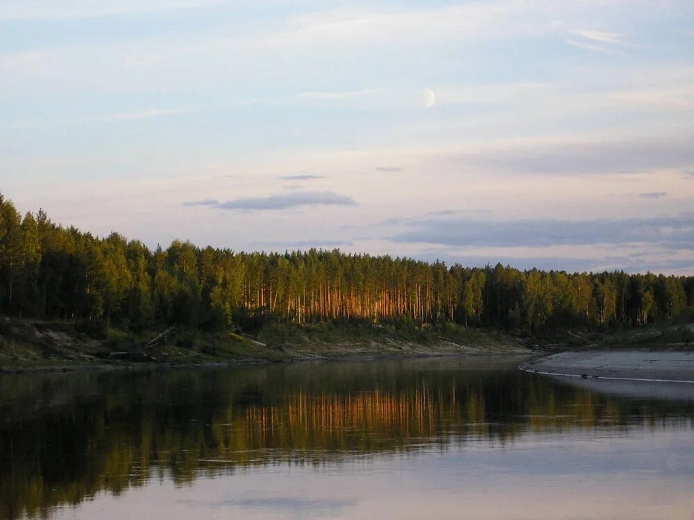 Река васюган томская область. Васюган томская область. Река васюган томская область. Васюганское болото. Васюган.