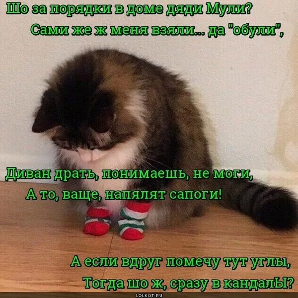 Он драл меня как