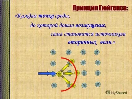 Среда точка