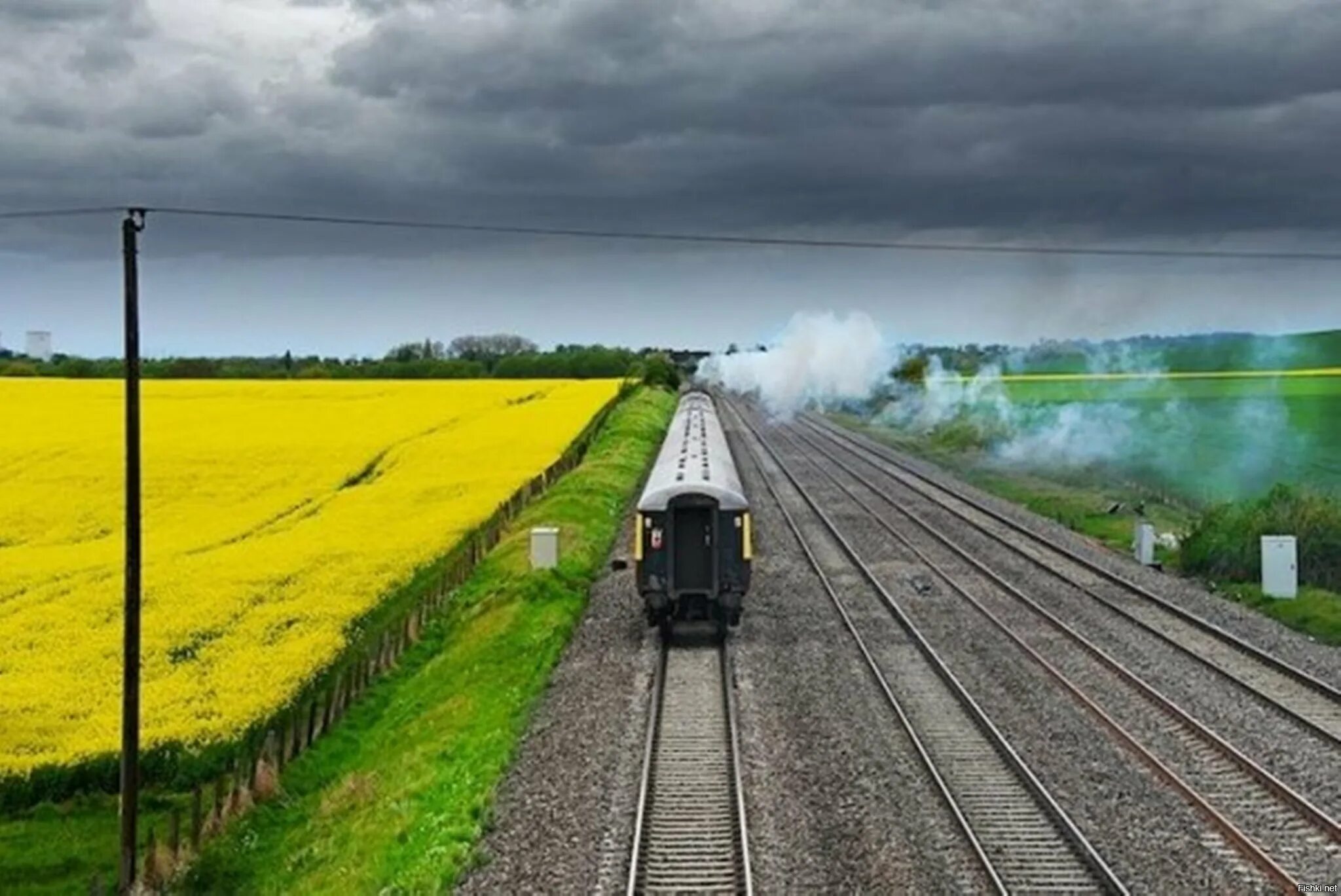 Железная дорога. Поезд в поле. Поезд картинка. О поездах и железной дороге.