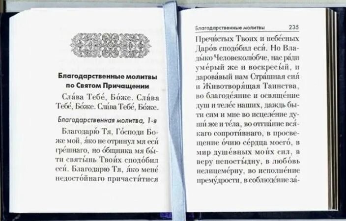 Благодарственная молитва Господу. Молитвы благодарности Господу Иисусу Христу. Благодарственные молитвы ко святому Причащению. Молитва благодарности святым.