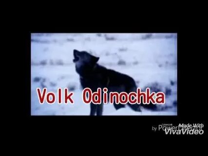 Ноль одиночка
