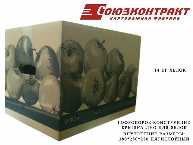 союзконтракт омск прайс