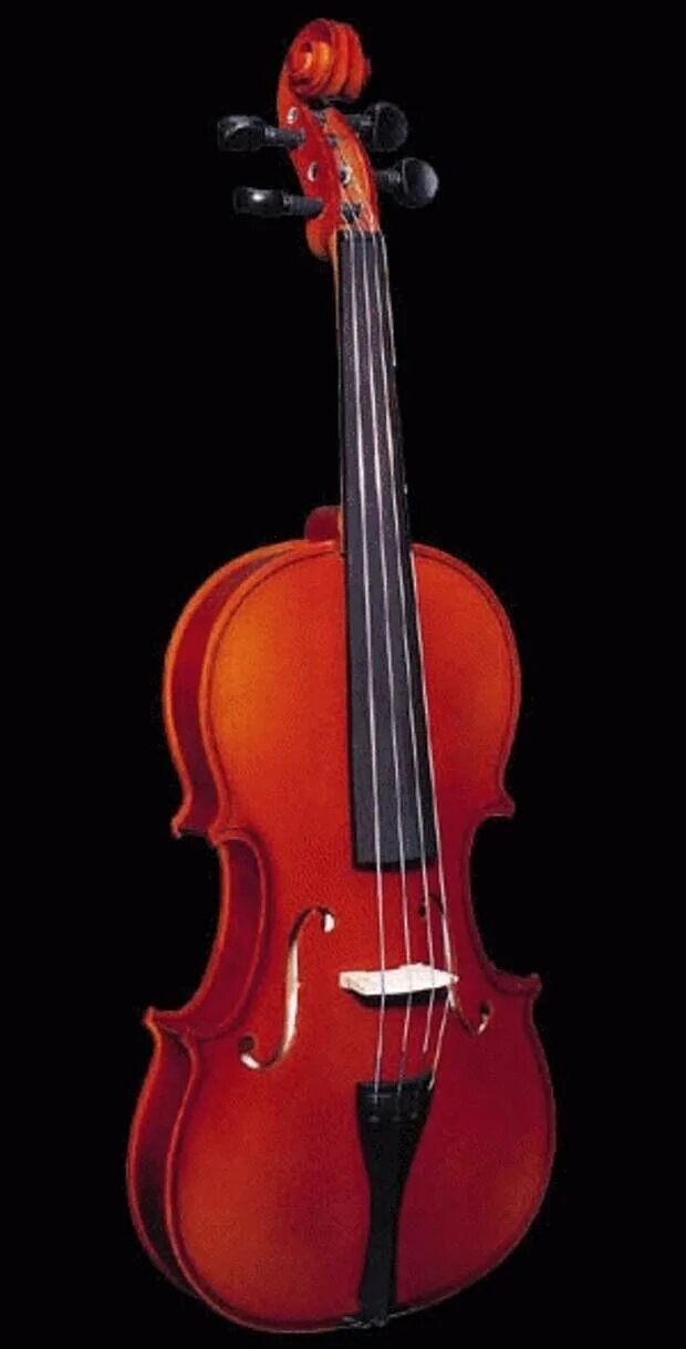 Скрипка новосибирск. Cremona 29w 3/4 скрипка. Скрипка 220 3/4 Strunal. Красная скрипка. Смычок для скрипки.