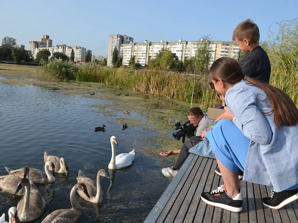 Белгород как живут люди сейчас. Везелка белгород. везелка белгород набережная. белгородская область река везелка. лебеди в белгороде.