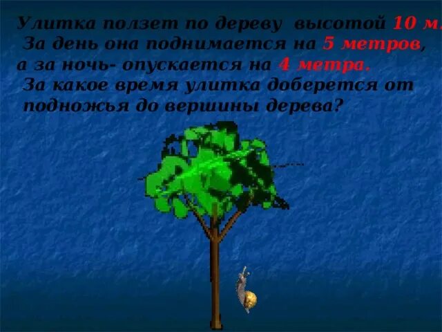 Задачи улитка ползет. Улитка ползет по дереву. Гусеница взбиралась на дерево высотой 10 метров. Улитка ползет по столбу. Улитка ползет по столбу высотой 10 метров.