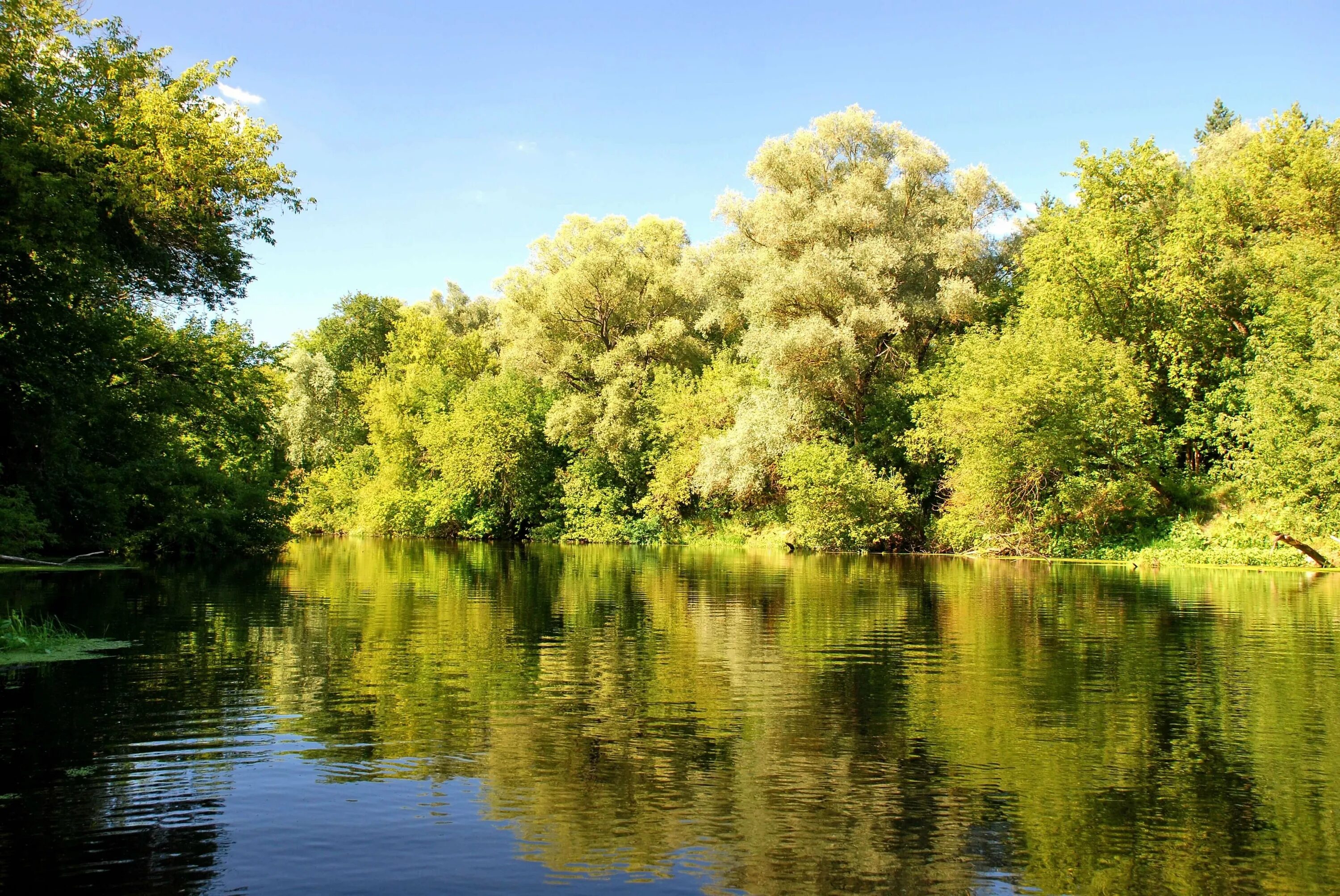 Курские водоемы