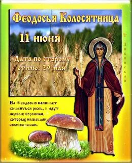 Какие праздники 11