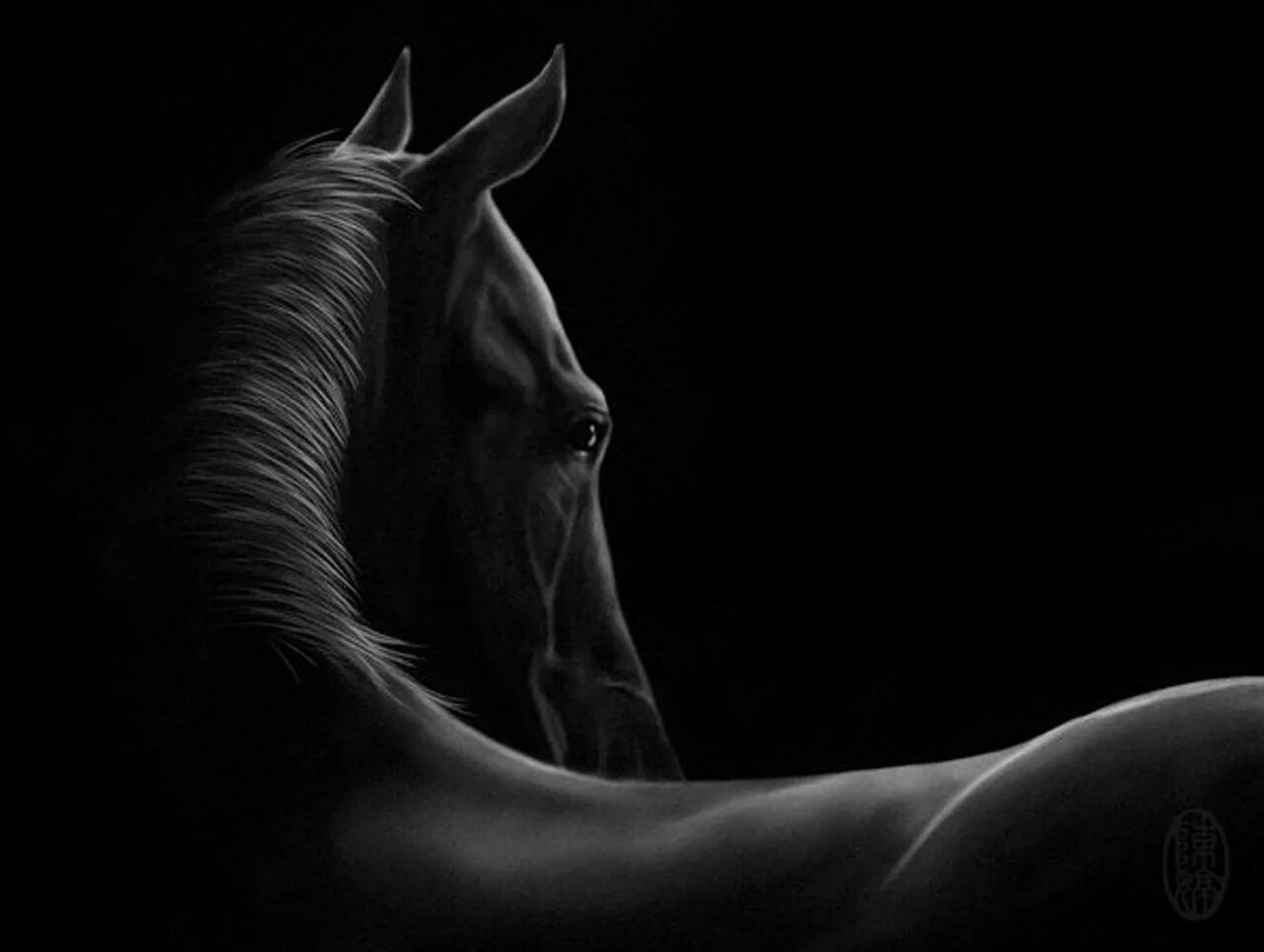 Лошадь в темноте. Лошадь на темном фоне. Лошадь на черном фоне. Конь на черном фоне. Черная лошадь на черном фоне.