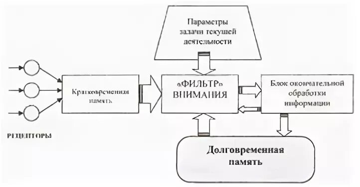 Внимание как ресурс. Модели внимания в когнитивной психологии. Внимание как фильтр. Теория внимание как распределение ресурса. Локус внимания в психологии.