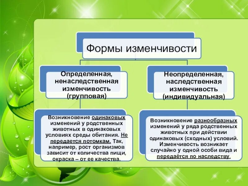 Неопределенная изменчивость носит массовый характер. Групповая изменчивость. индивидуальная и групповая изменчивость. формы изменчивости по дарвину. формы изменчивости групповая.