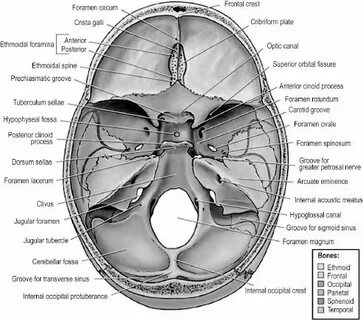 Internal 3